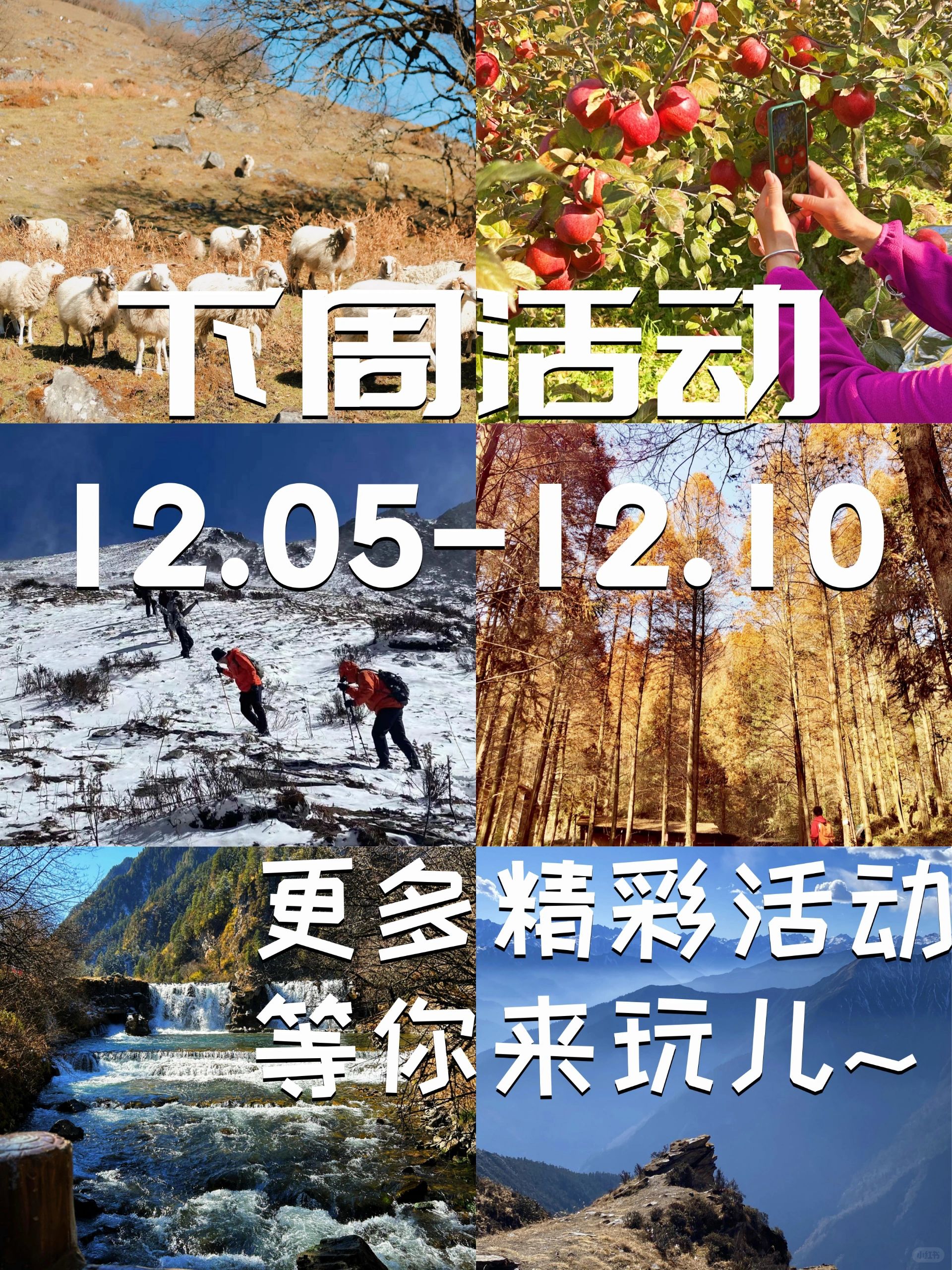 ✔️✔️✔️｜下周1日活动概览