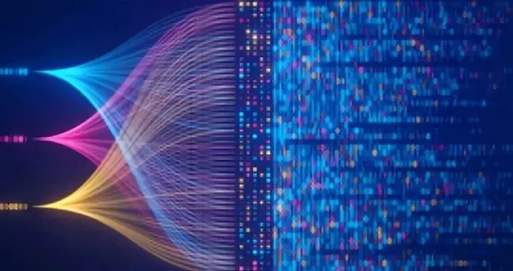 大模型的第一性原理：（二）信号处理篇