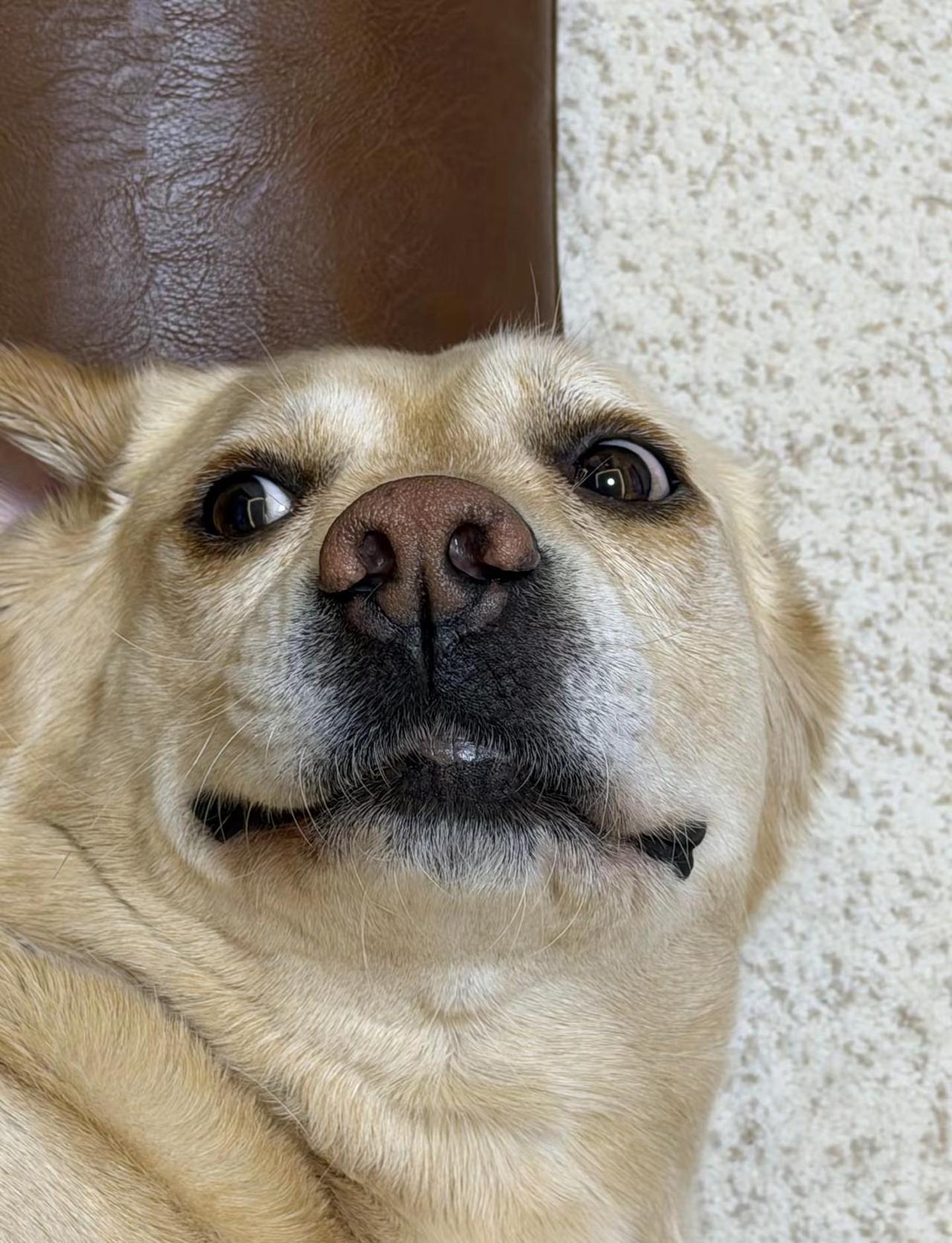 地球online谢老玩家邀约 但不想邀约新玩家也不想继续肝啦