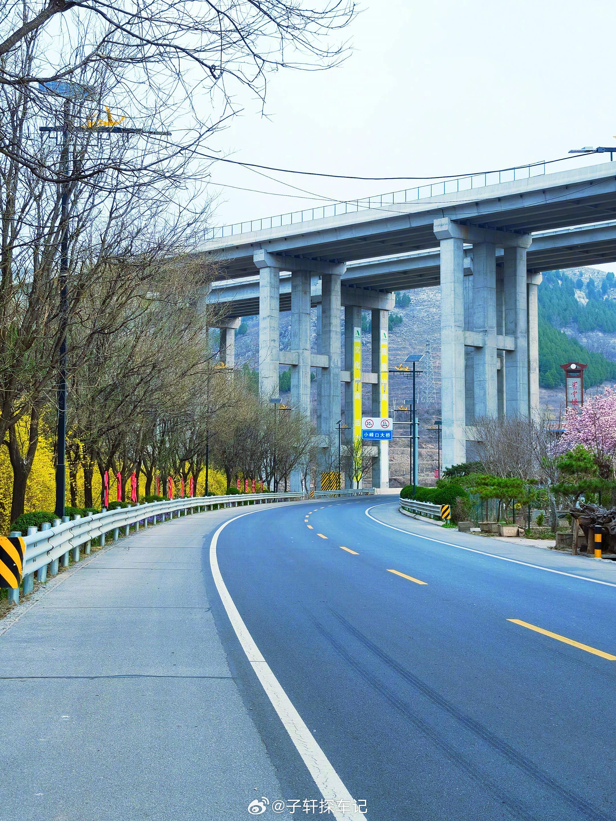 一条公路，一片春色，一整个春天。 随拍追着春天去旅行