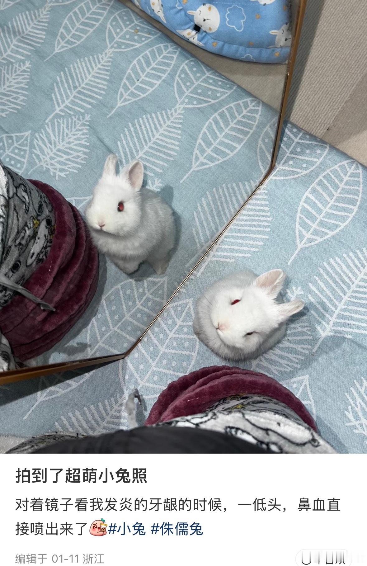 这也太萌。。。 