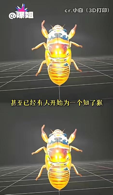 现在连捉知了猴都这么卷了，真是没想到。据媒体报道，今年，山东捉知了猴的大军中出现