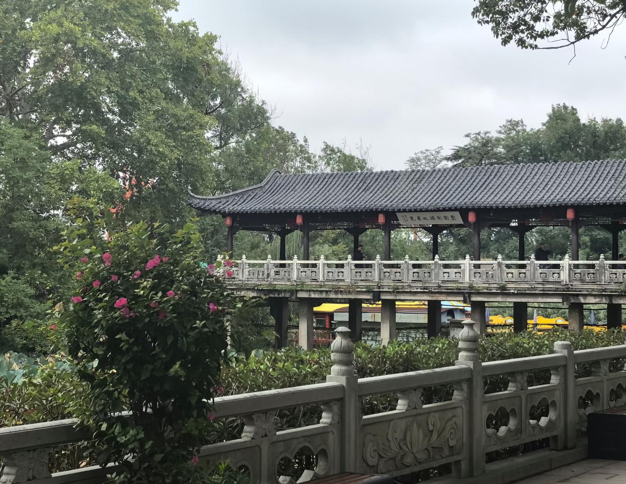 【热评】最不能容忍欺诈老人的行为
免费火锅骗走600多名老人4200万

“免费