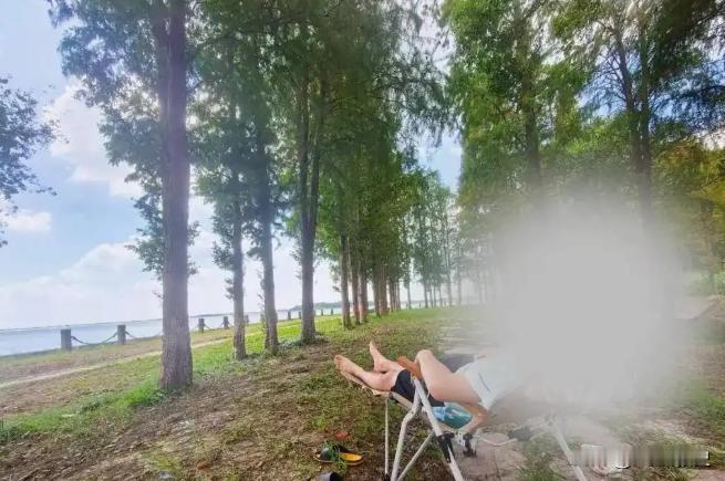 “太可怕了”！江苏昆山，周女士和儿子在草地上休息，20分钟后，儿子便大喊身上很痛