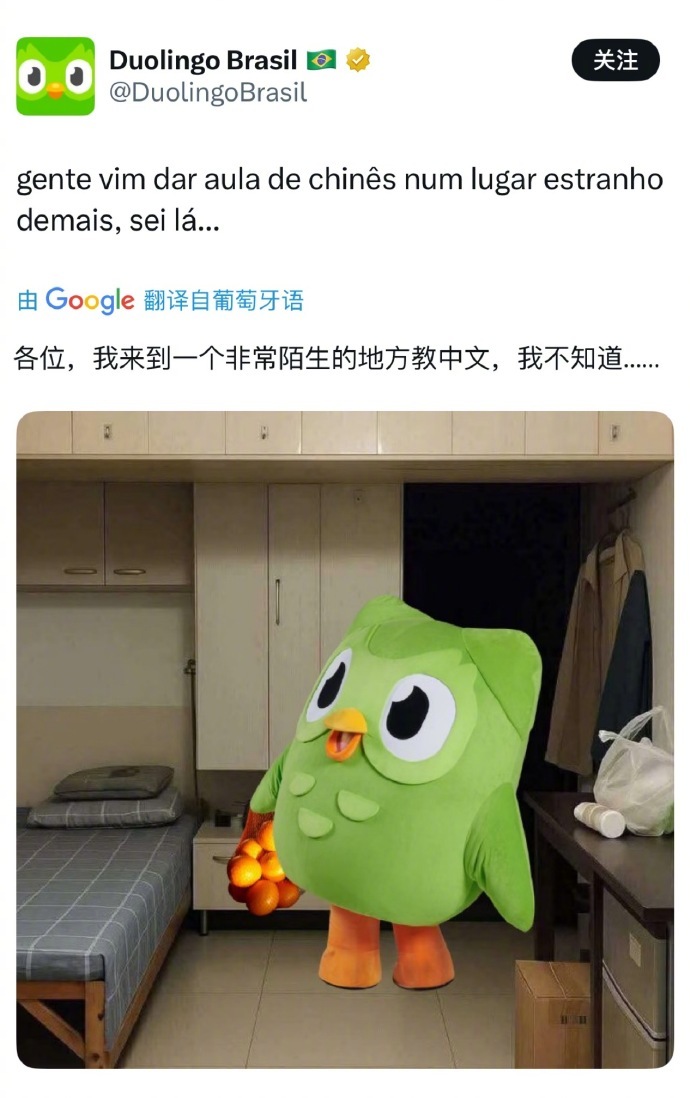 多邻国猫头鹰说自己来到了一个非常陌生的地方教中文 ​ ​​​