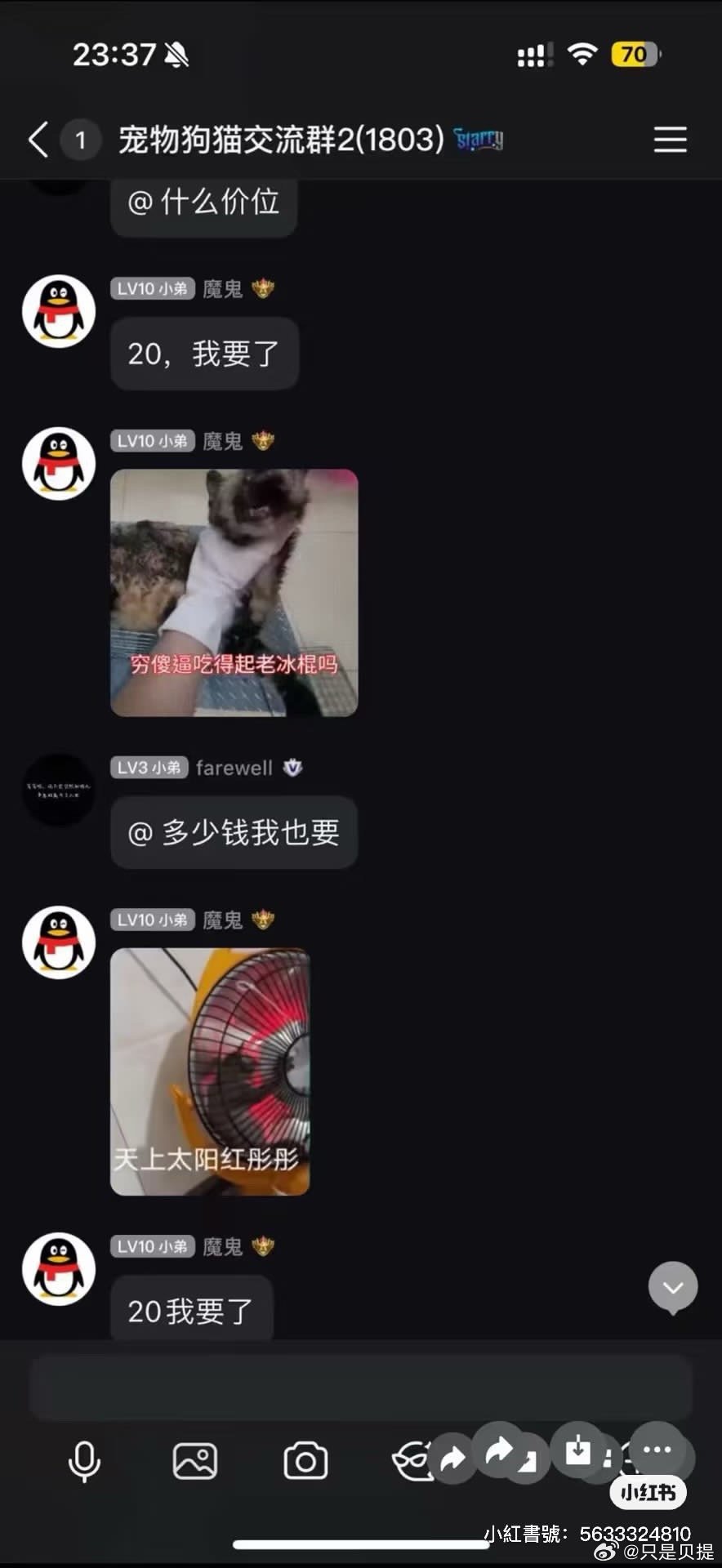 重庆高考生虐猫山姆打包哥已被行拘