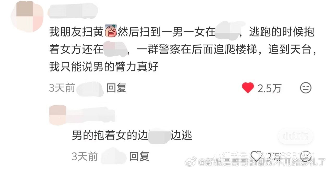 我的泰迪攻 