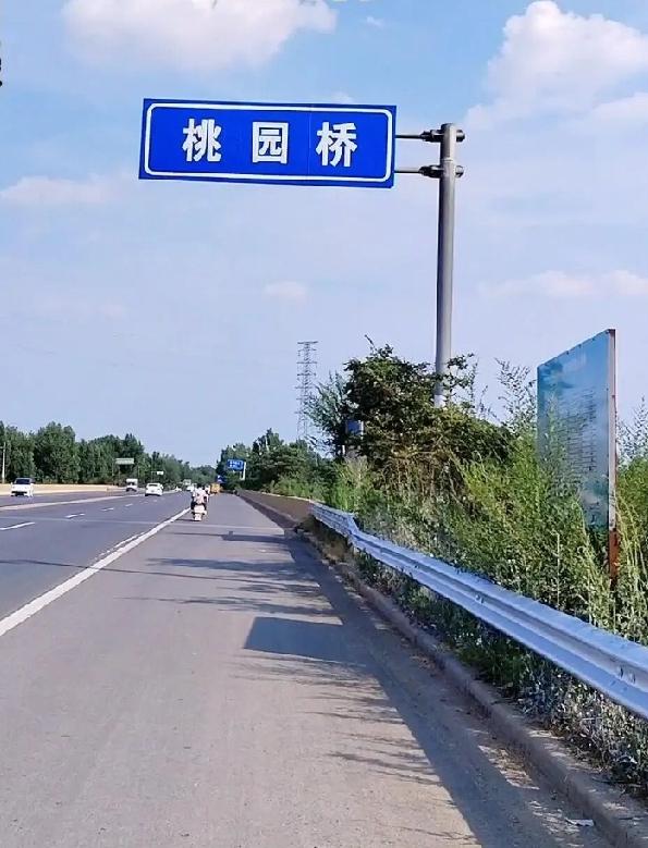 河南省濮阳市濮阳县清河头乡桃园村‌
该村位于清河头乡政府驻地西南 3 公里处，1