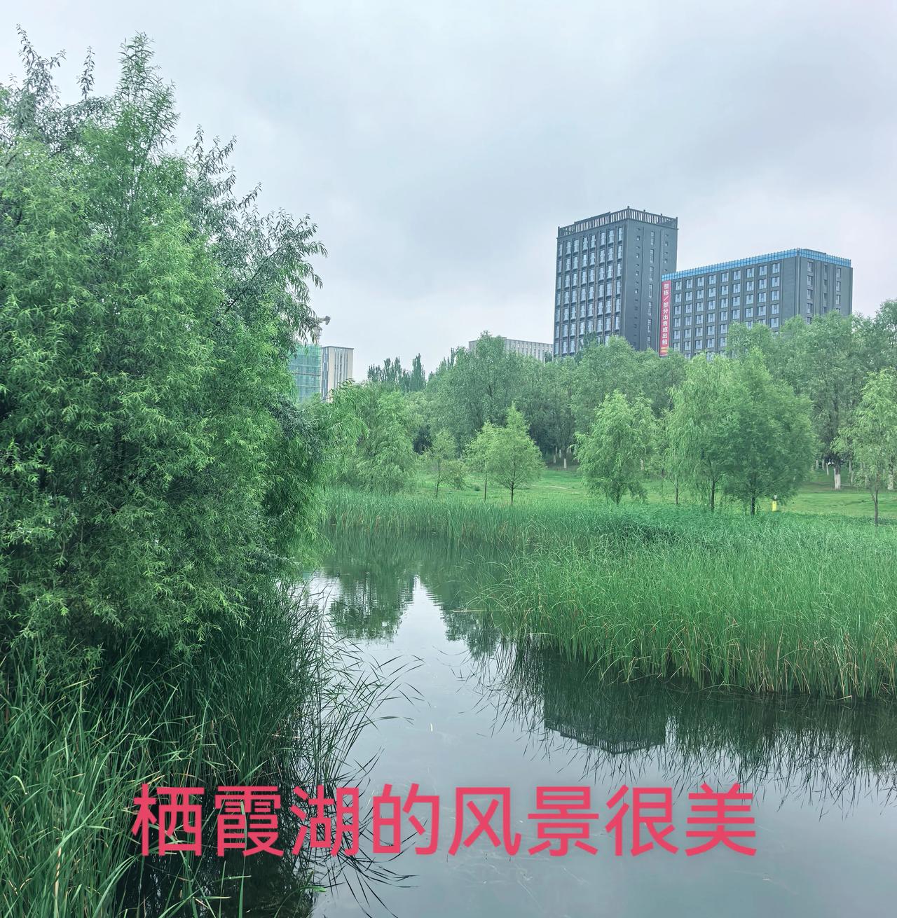 人生最好的状态，莫过于动静相宜，张弛有度。动，是向外舒展，奔赴烟火与山野。趁清风