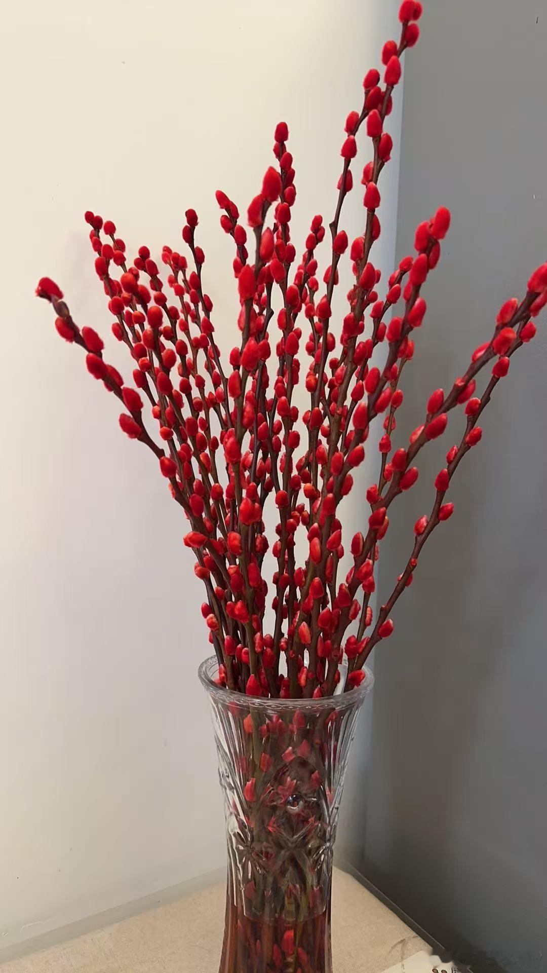 闲聊闲聊。马年炒什么？跟着马斯克就行了… 