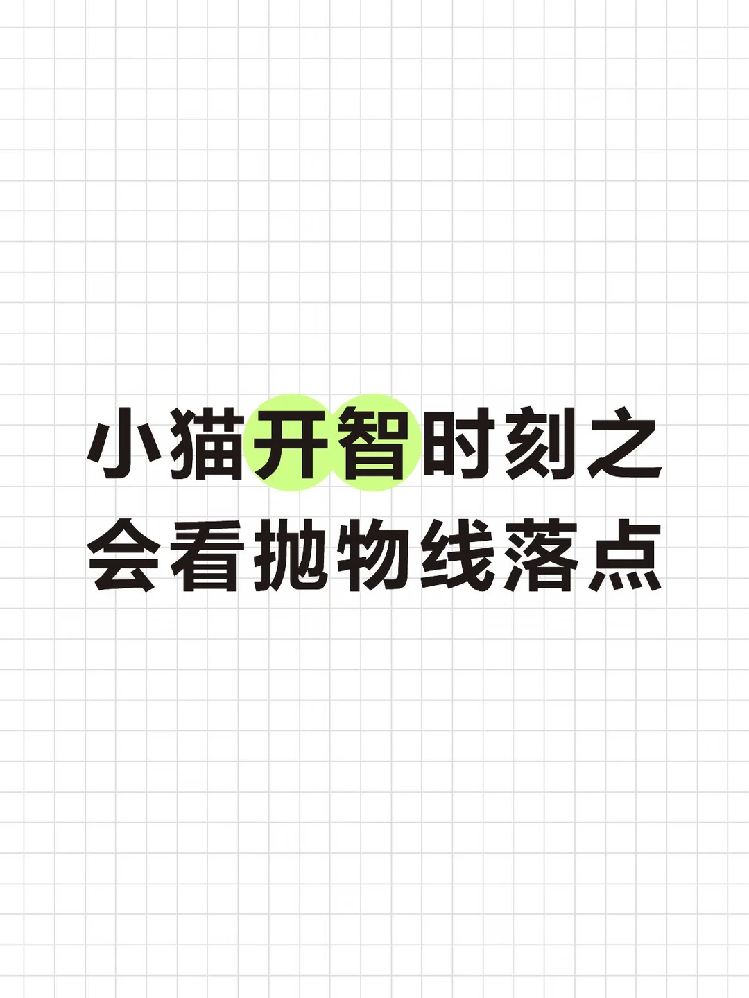 记录猫人互动新发现