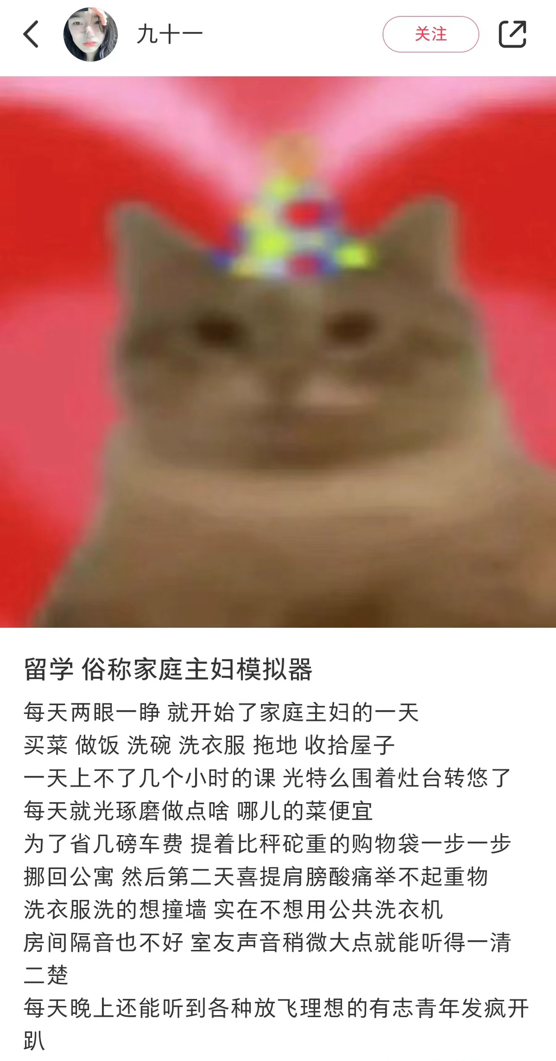 留学俗称家庭主妇模拟器 ​​​