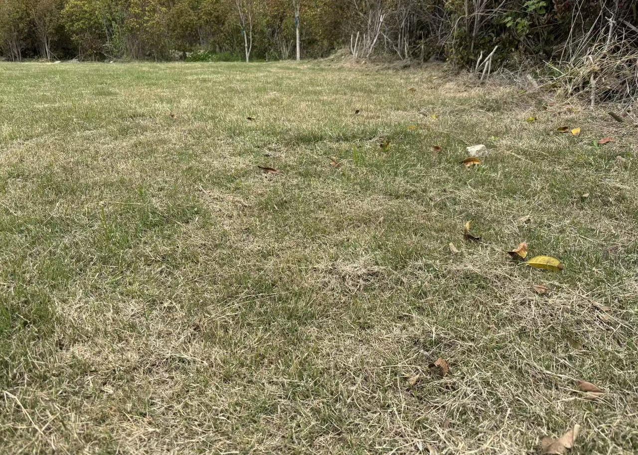 1 、早饭要吃好，今天的早饭做的是中式三明治，在平底锅中煎好两个鸡蛋后，就着锅的