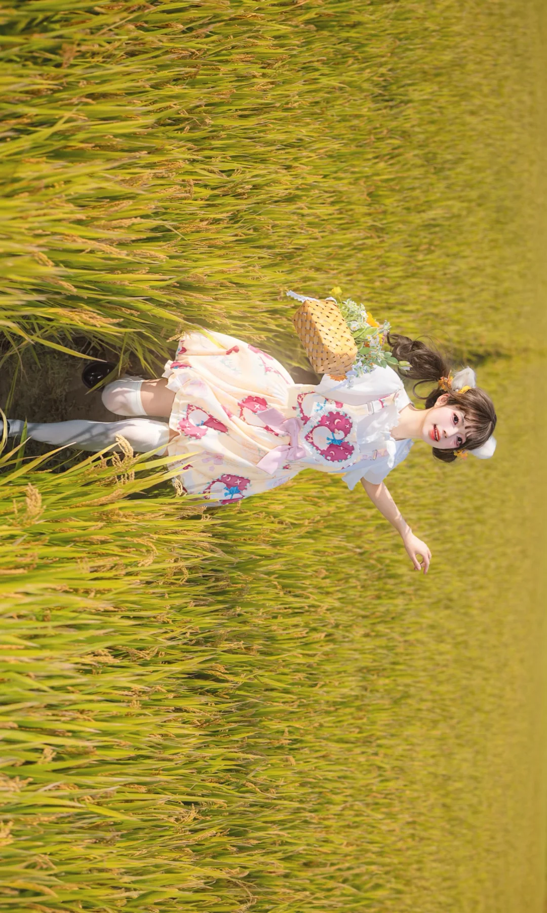 什么！收割完了才想起拍稻田！🍁