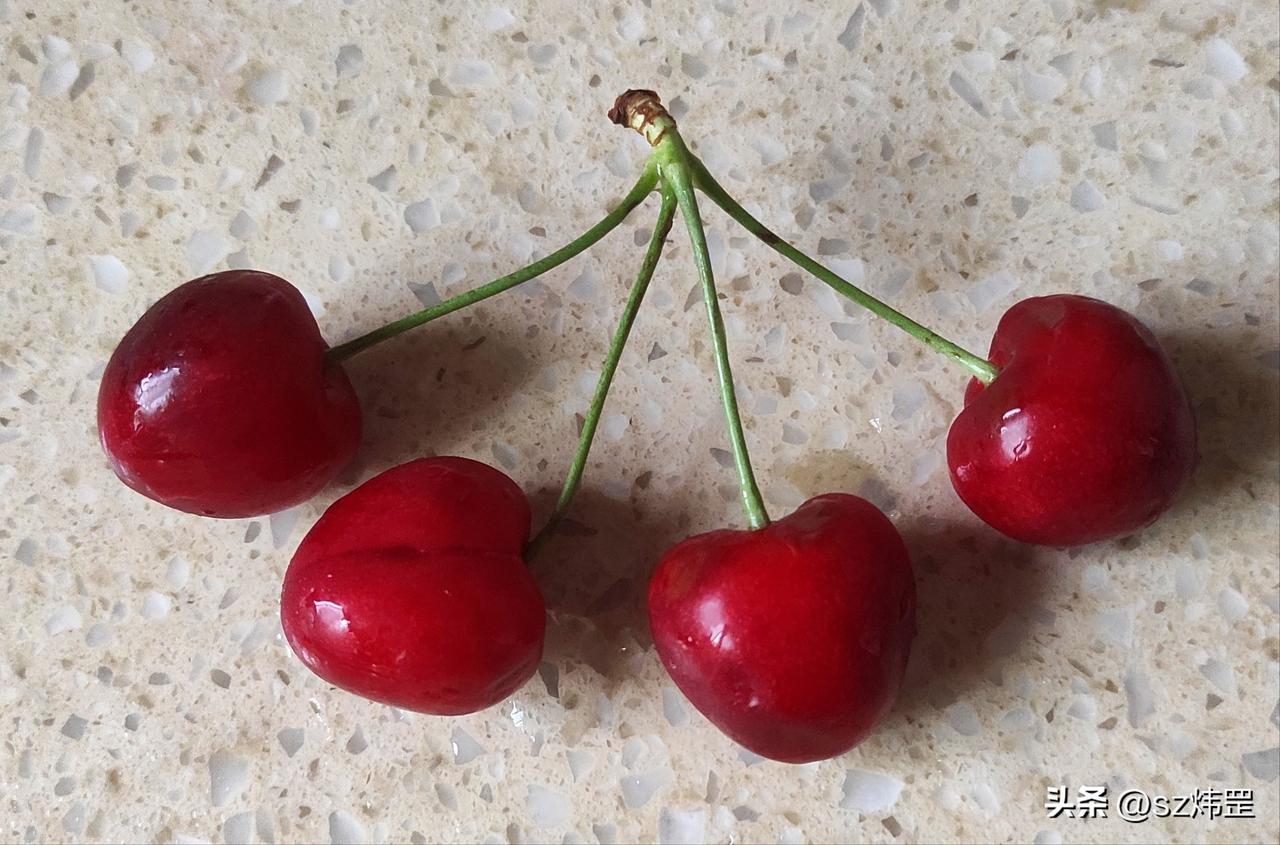 （原创）樱桃
儿时知道樱桃，但没吃过。
因为樱桃这玩意金贵，咱居住那地见不到，就