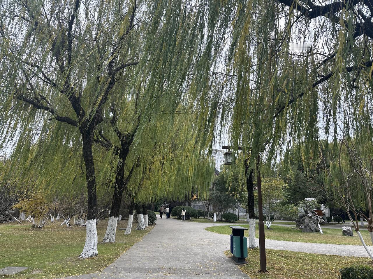 晒图笔记大赛冬日公园漫步，落叶铺满小径，阳光洒在身上，感受大自然的美好。