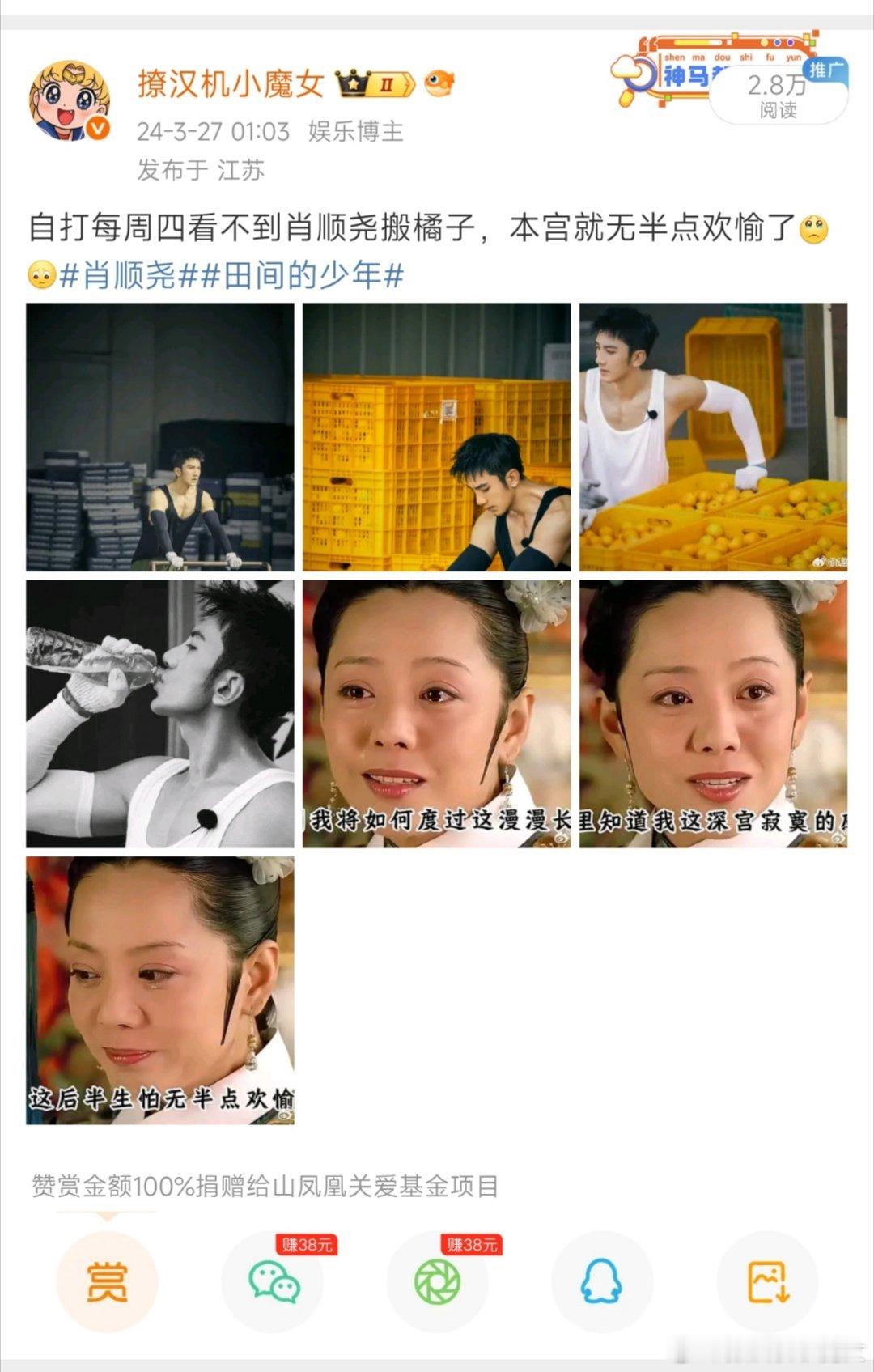 妈的，现在我的互联网厚米们都说我养胃？笑死。  都怪肖顺尧搬橘子，那个时候明明我