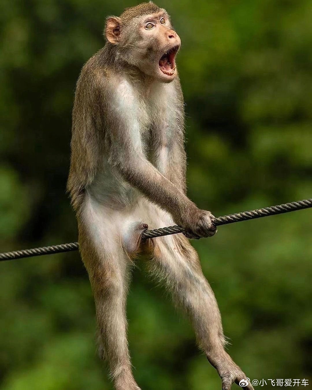 今天和搞电驱总成“电腐蚀”问题的工程师聊天，他跟我说网约车司机的“风琴脚”工况其