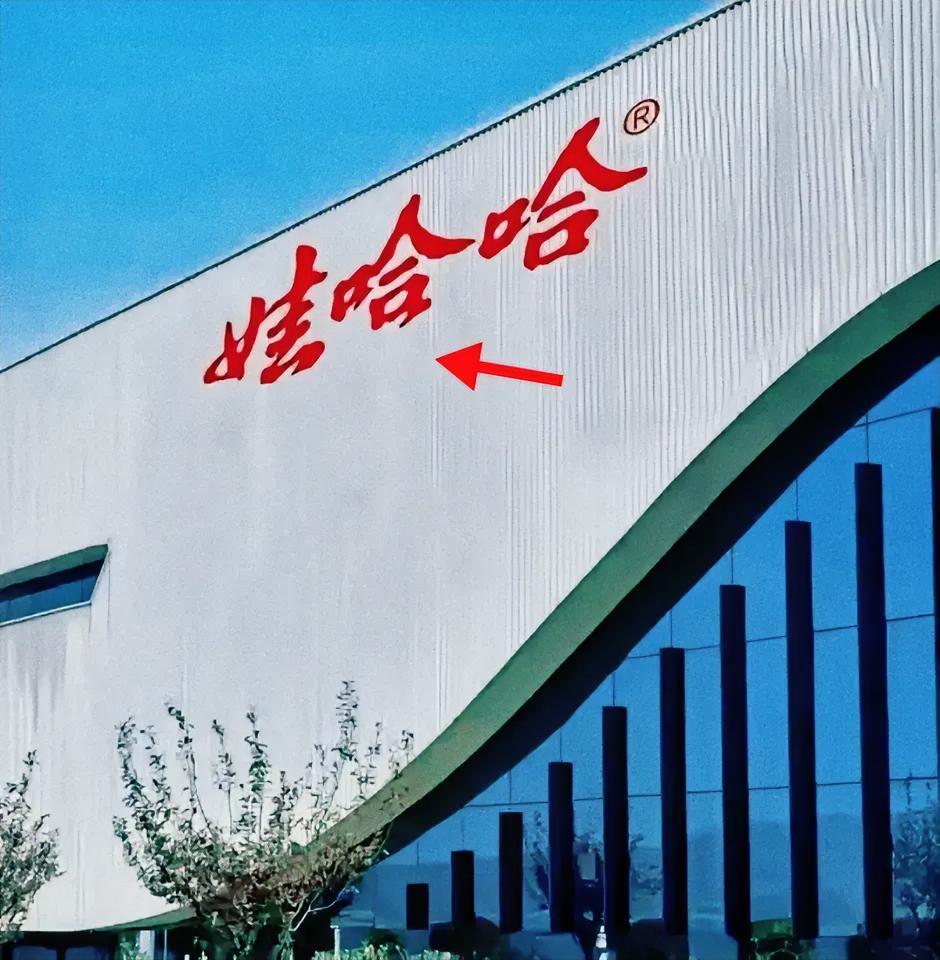 许思敏突然被拉上娃哈哈牌桌，
她手里攥着一堆王炸，
法人章、总经理权、老板信任。