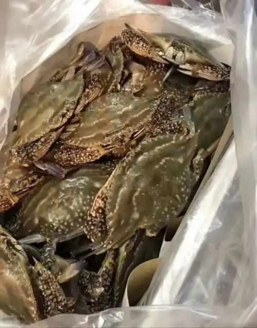 海蟹和河蟹有什么区别？
       它们间的主要区别有四点。
       外