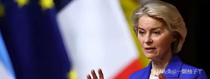 冯德莱恩在巴黎核能峰会上公开承认，欧洲过去减少核电是战略错误，消息一出，德国网友