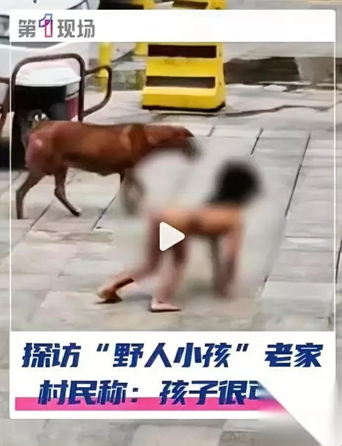 餐馆送饭为啥放地上？

云南男孩被称“野人小孩”

走访发现他四季不穿衣服，餐馆