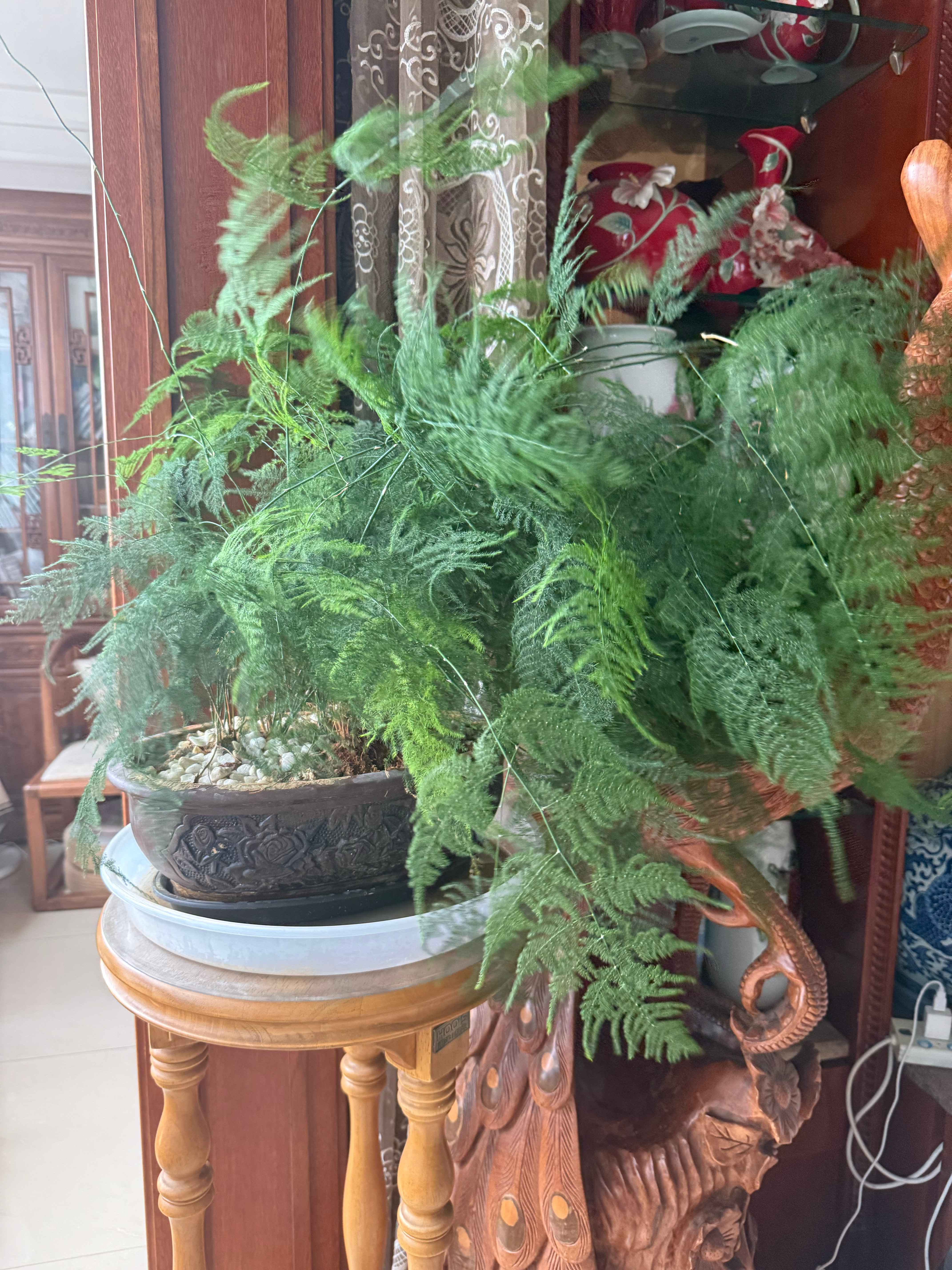 成都今天这个风刮得像是白起下一秒就要破窗而入对我说“记忆里那些莫名其妙的样子我学