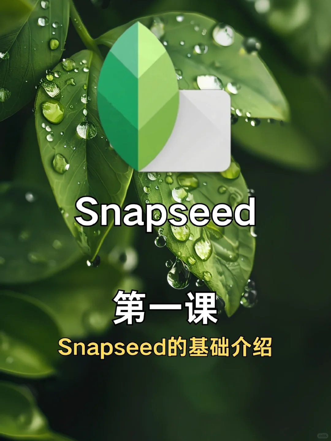手机修图调色｜Snapseed 第一课 📱基本设置