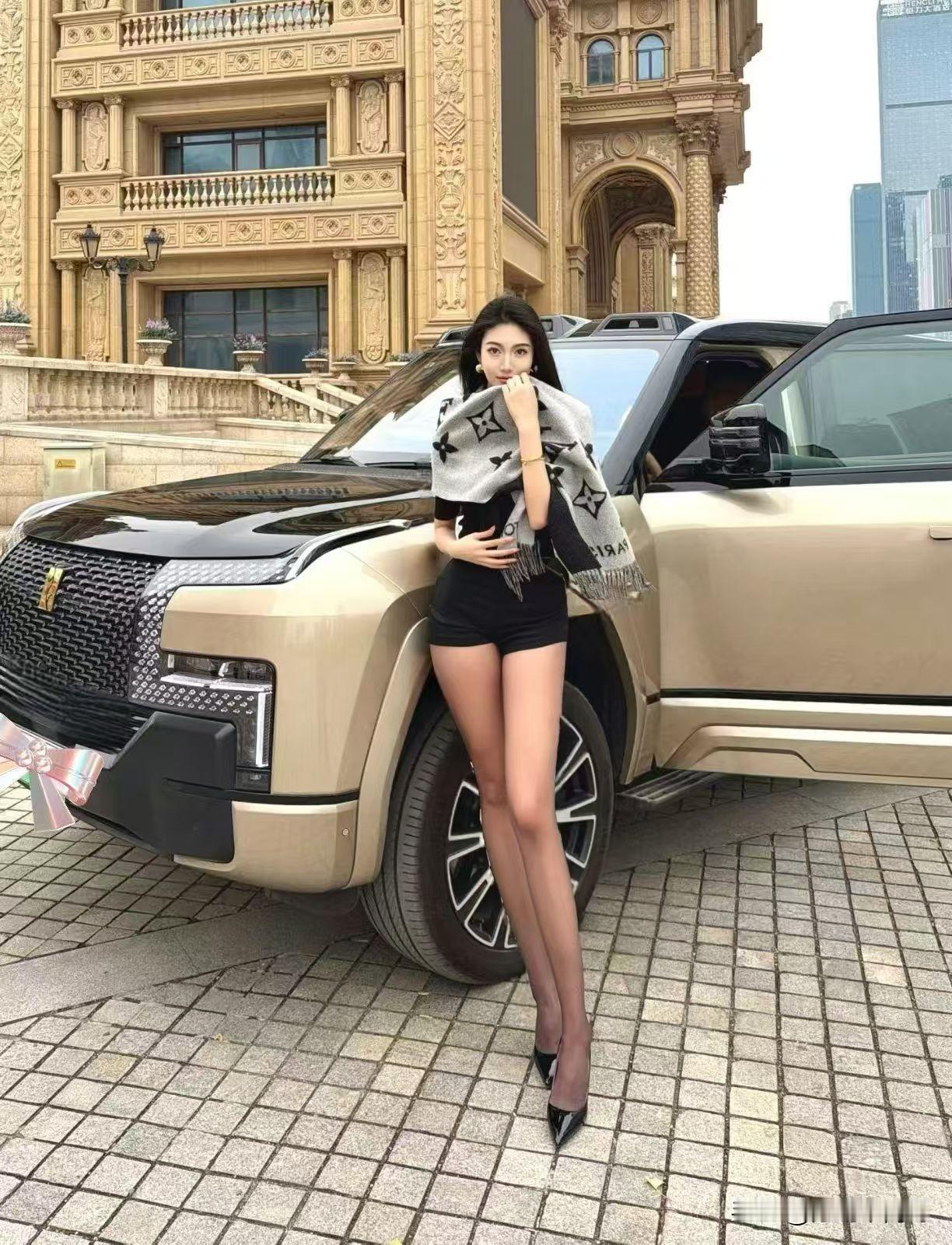 11月中国品牌100万以上销量情况

1、仰望U8L（128万）：486台
2、