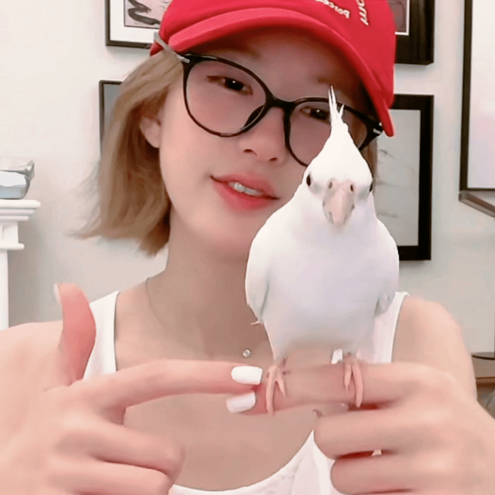 赵露思说我不会再去音乐节了 特别好的露思啊 怕粉丝遭罪 关心粉丝 很体贴 我爱她