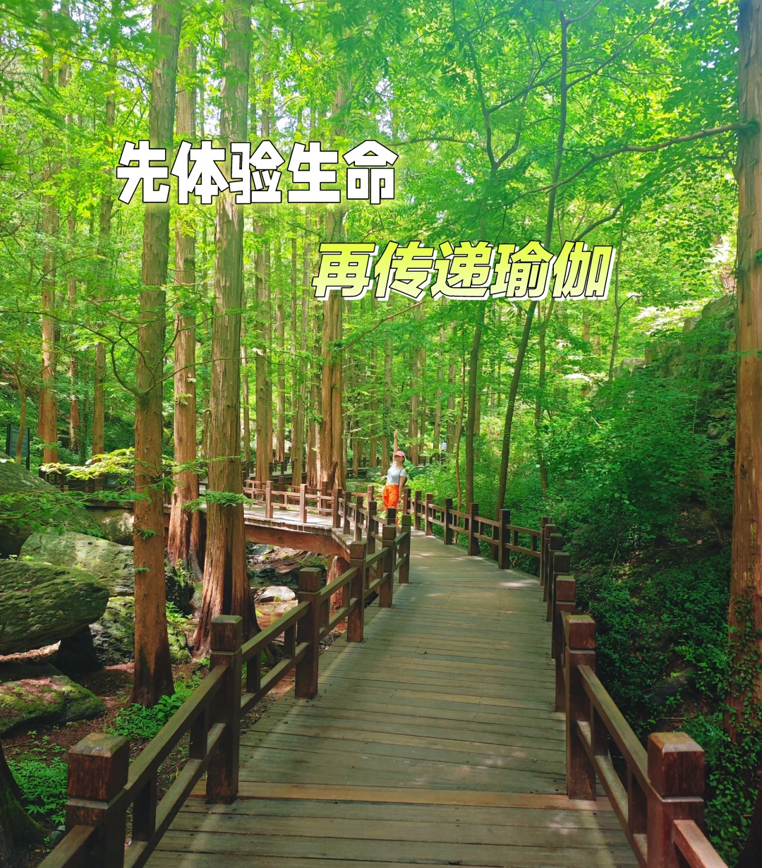 🌿瑜伽老师的底气，来自真实的生命体验