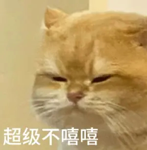 姐姐读高中了，怎么不再生个儿子，人言否，我们算晚育了，我还等着拿退休工资呢，讨厌