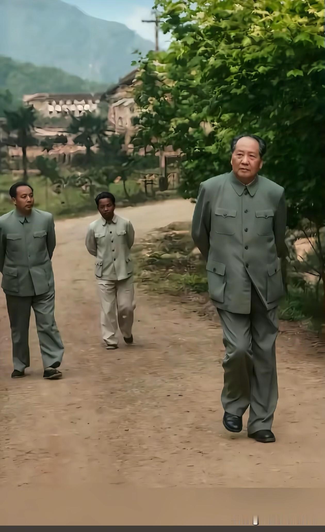 毛主席身着灰色中山装，
步履沉稳地行走在乡间土路上，
神情从容，
尽显领袖的质朴