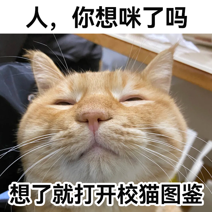 原来好的大学真的有隐形福利不止是学历光环，还有低物价生活福利、专属就业内推、跨校