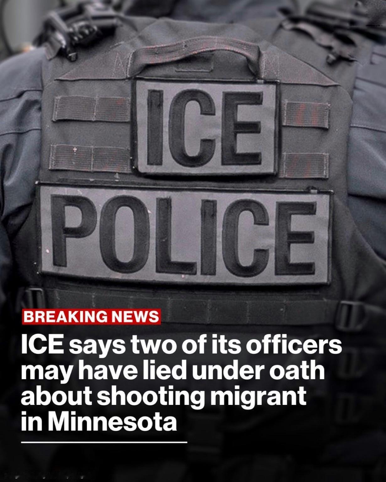 美国移民及海关执法局（ICE）代理局长表示，该局两名官员似乎就明尼苏达州枪击一名