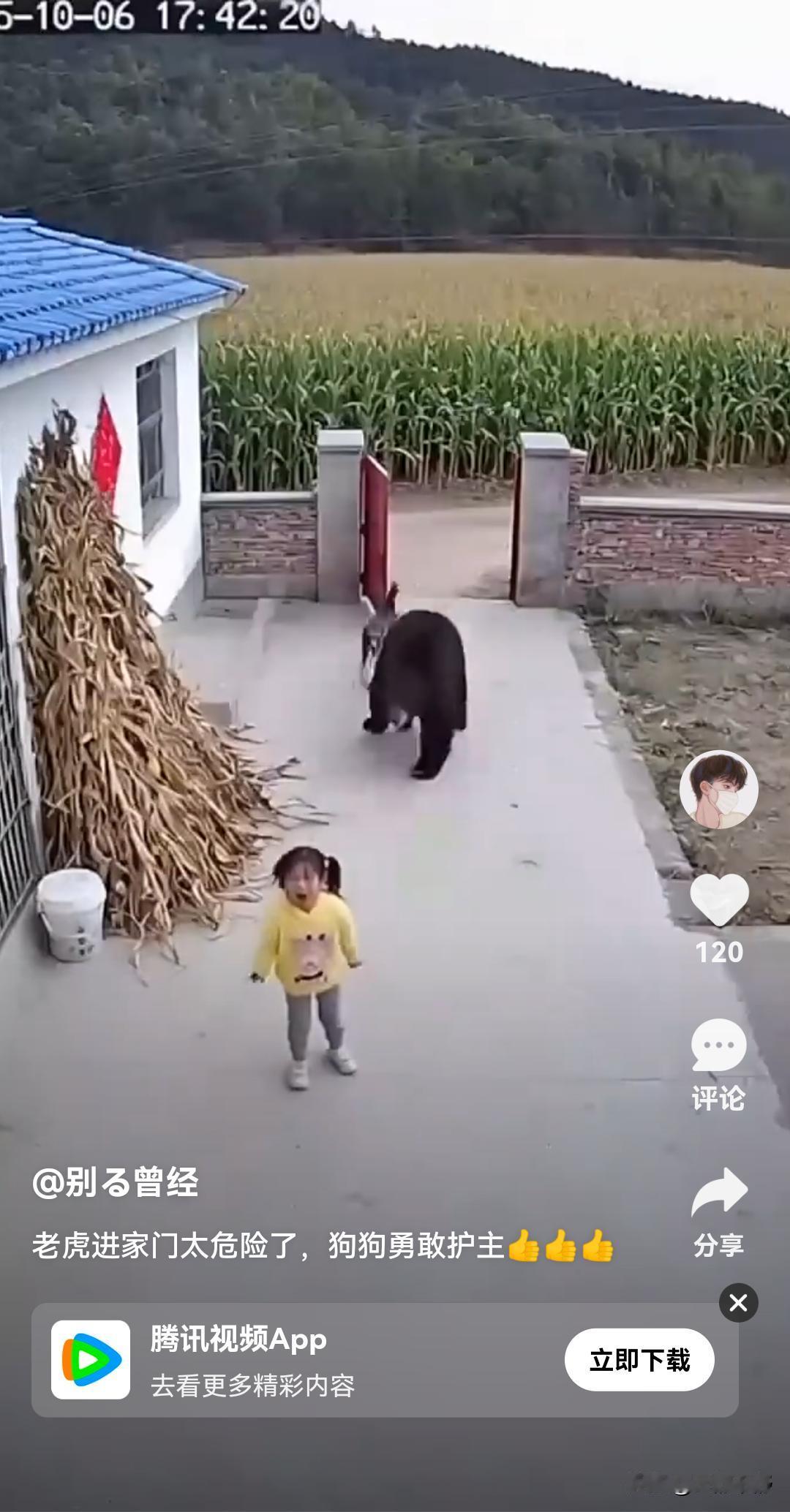 勇敢小狗护主，萌娃见证奇迹！🐕👧🏻