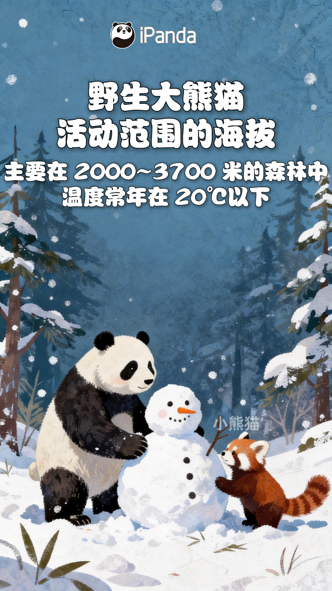 【⬇️9图解锁大熊猫小知识⬇️】世界野生动植物日 快快加入“熊猫知识局”，get