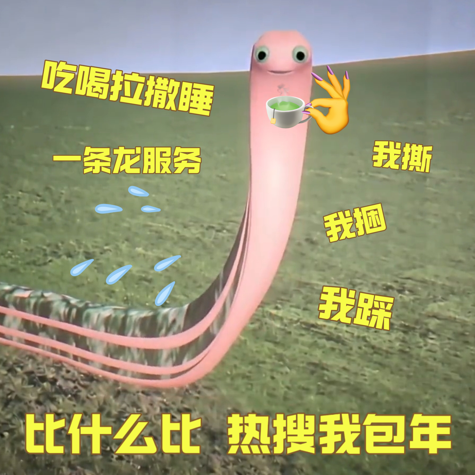 驴来 