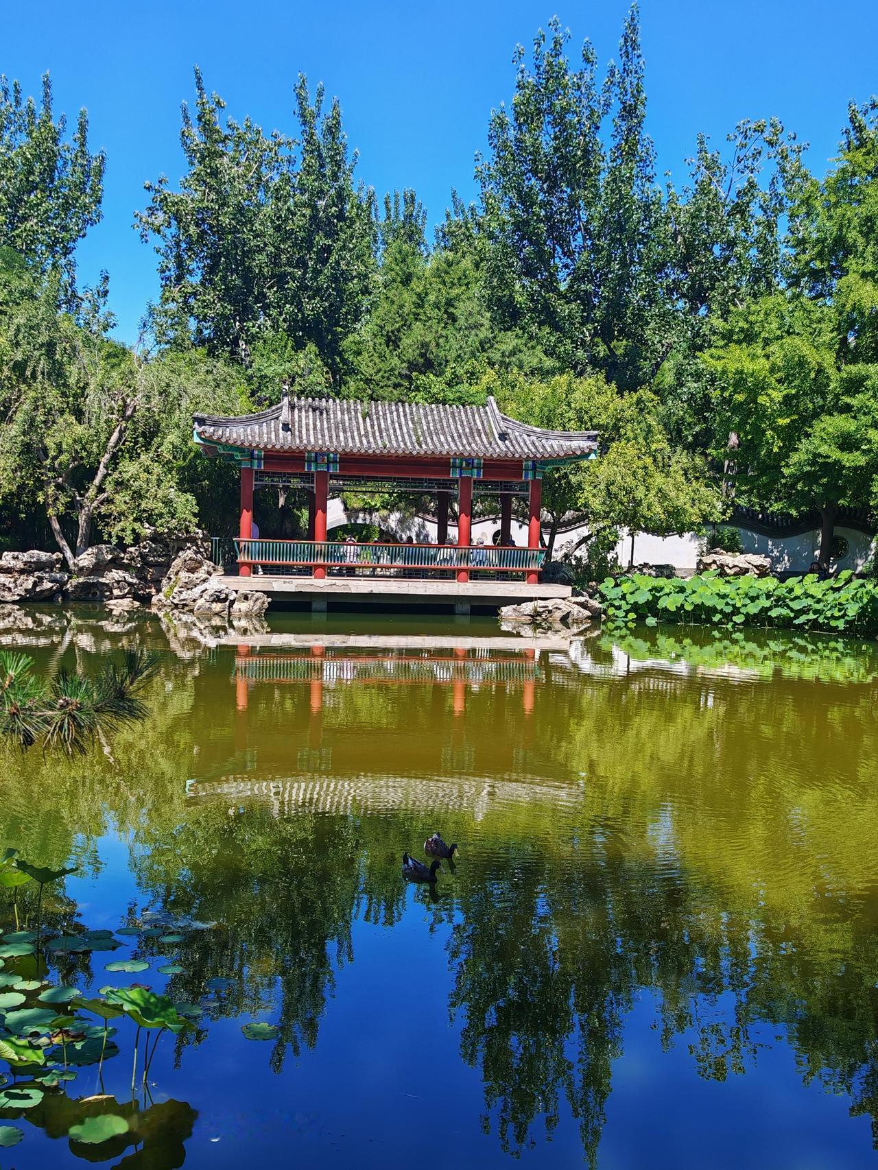 北京宣武艺园真是个宝藏地！它藏在闹市中，门口车水马龙，进去却宛如换了世界。这里没