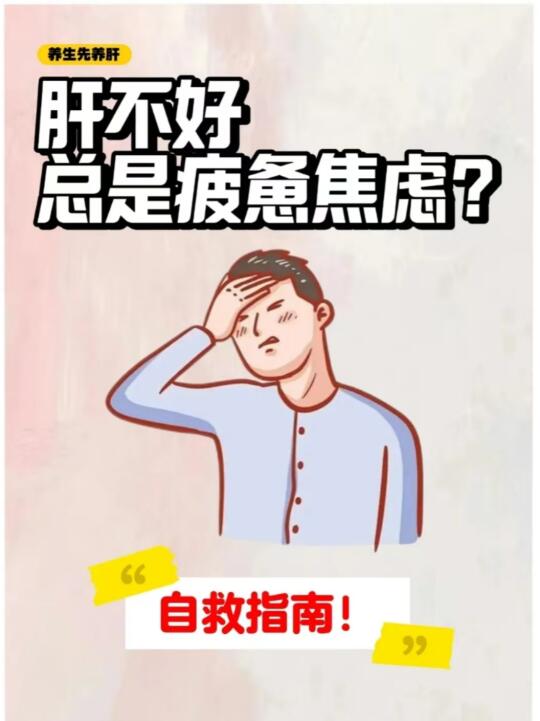 肝不好总疲惫焦虑？自救指南来了