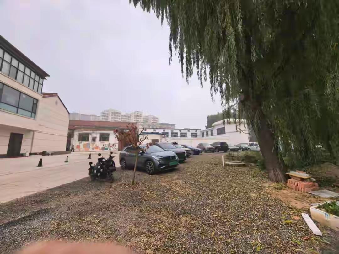 是故意伤害还是正当防卫：一桩“狗咬人”引发的血案，一桩“狗咬人”引发的血案，在山