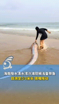 太罕见了！海南，女子在海边游玩时，突然发现有个东西被海水冲了上来，上前一看竟然是