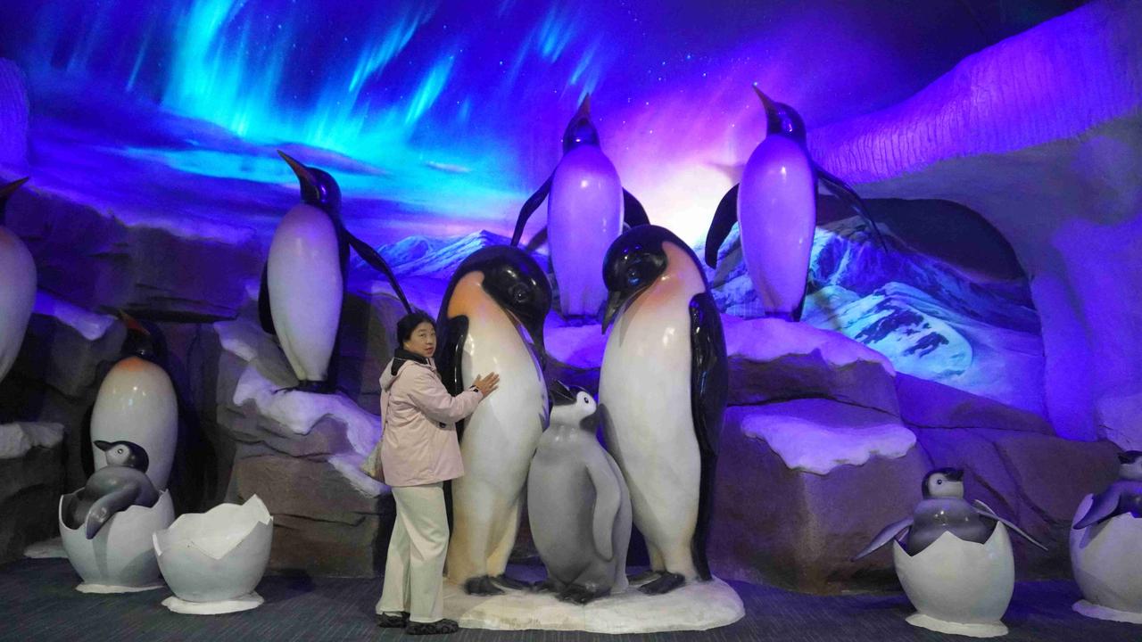 我的今日状态：😁轻松愉快
我这里的天气：☀️晴天今天也很幸福的