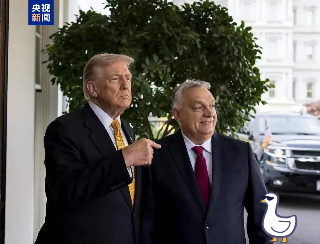 匈牙利总理访美 力图破解能源难题与地缘难题

当地时间11月7日到访白宫，与美国