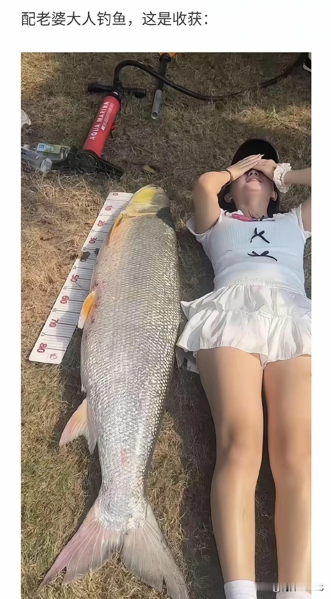 这鱼不是P的[看]