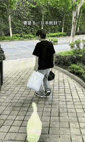 大鹅惊呆了：这小伙子真是个人才！