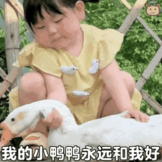 日结走起