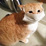 书迷热逛娱乐