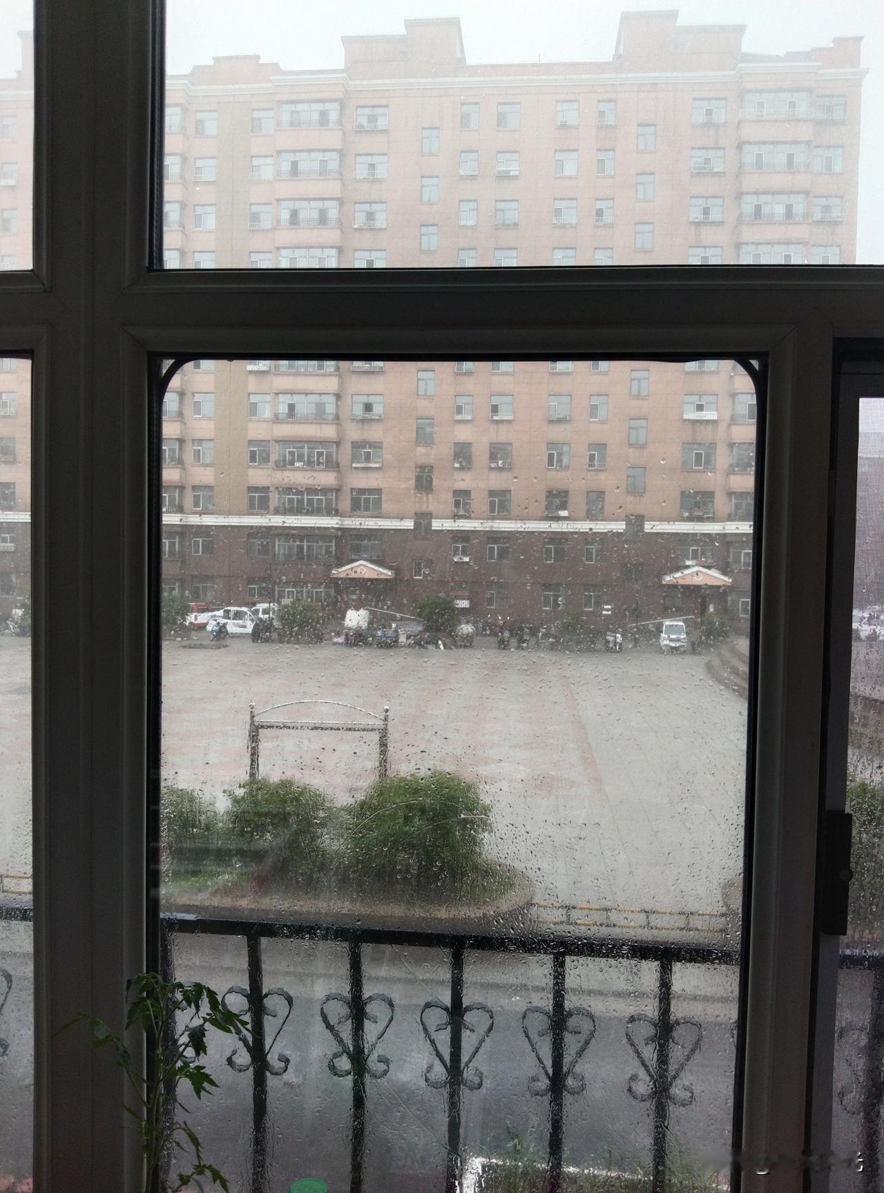 窗外的雨下得铺天盖地的，雨水落在地面升腾起一层白茫茫的水雾，像笼了层轻烟。
想问