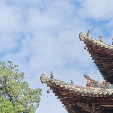 每日一善[超话][心]‍每日‎一善[心]‍阳光信用 人心不善，虽老不尊，虽福不贵